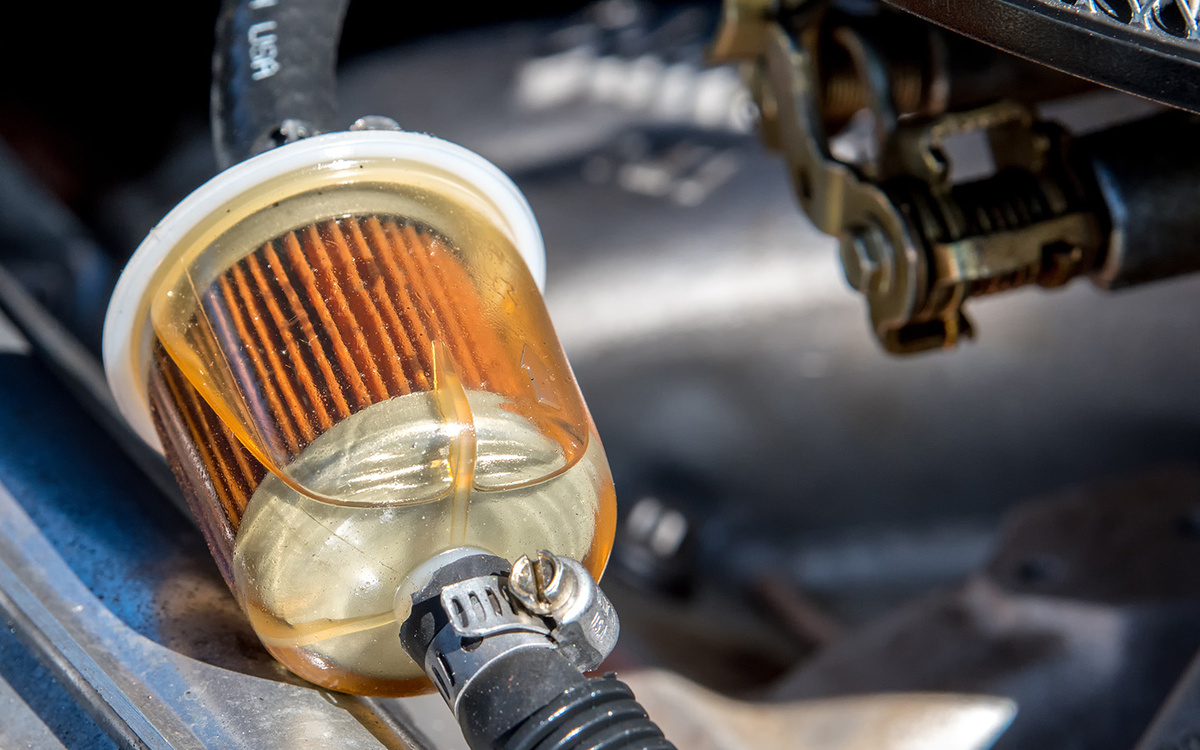    Doug McLean / Shutterstock / FOTODOM