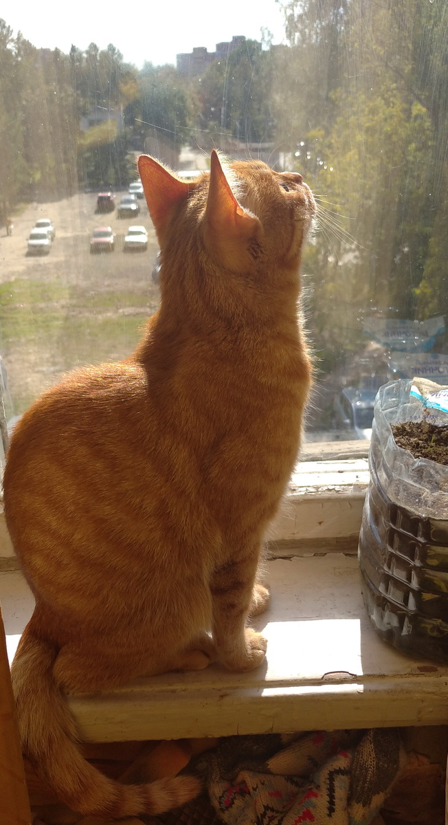 личное фото