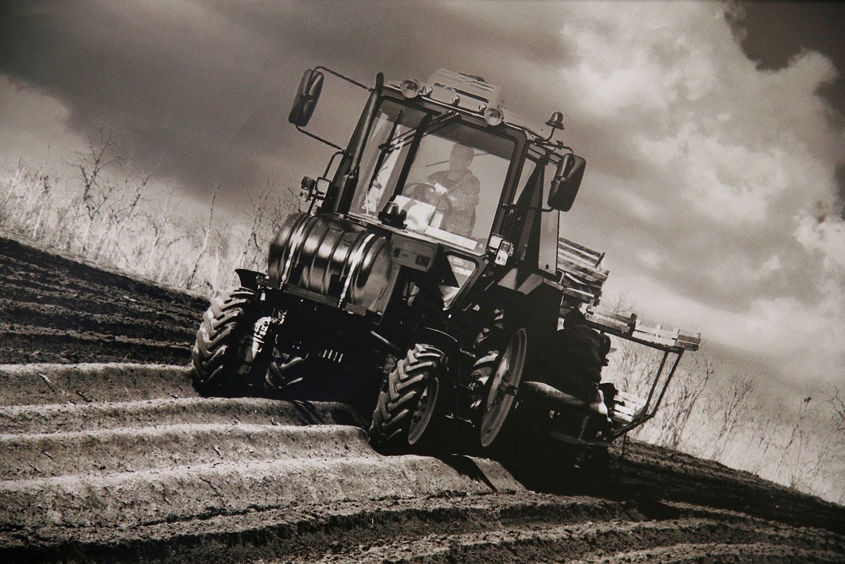    Геннадий Аносов/РГ