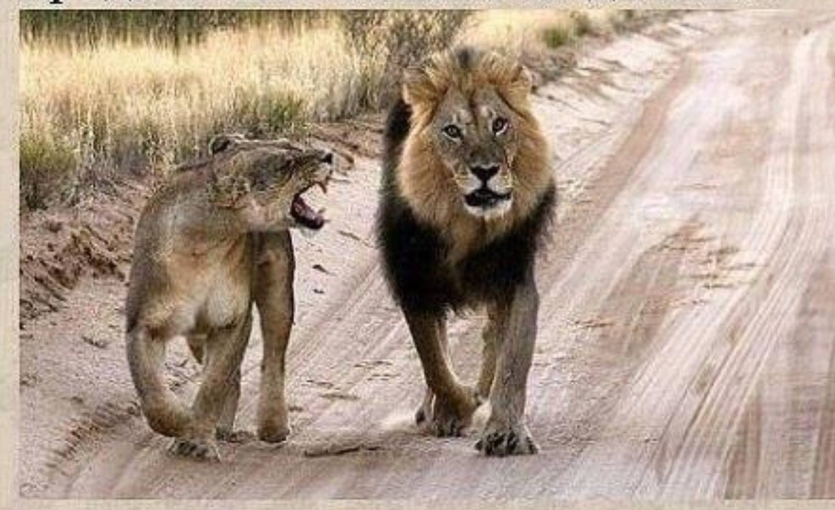 Настоящие мужчины никогда не обижаются на женщин, они просто ждут пока она успокоится и продолжают любить ее дальше....