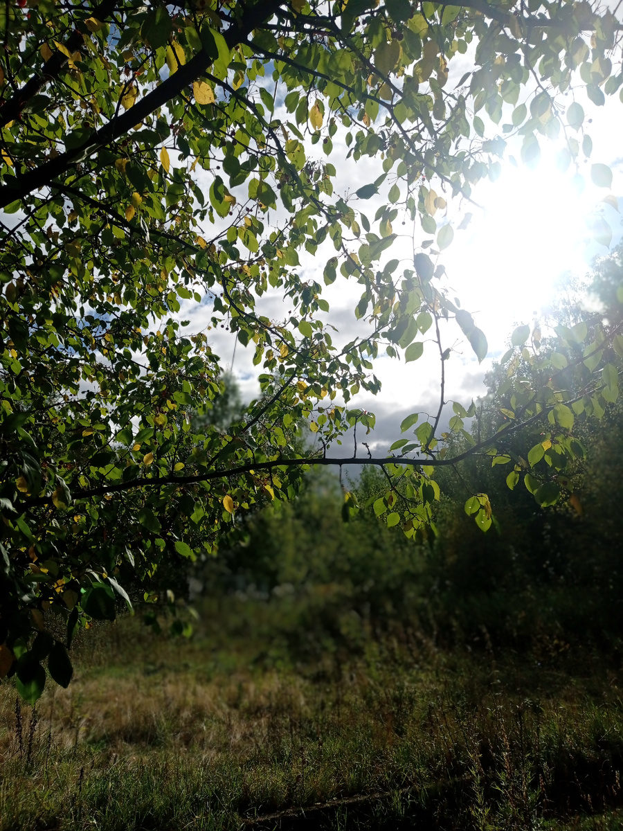 Наша Солнечная осень🍃🍁🍂
