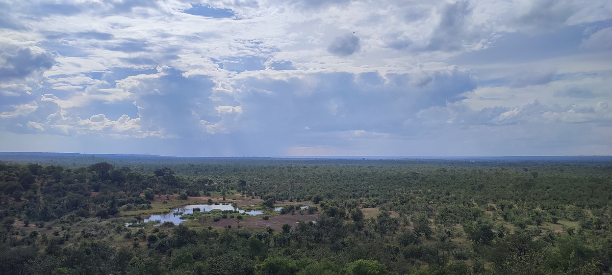 Вид из отеля