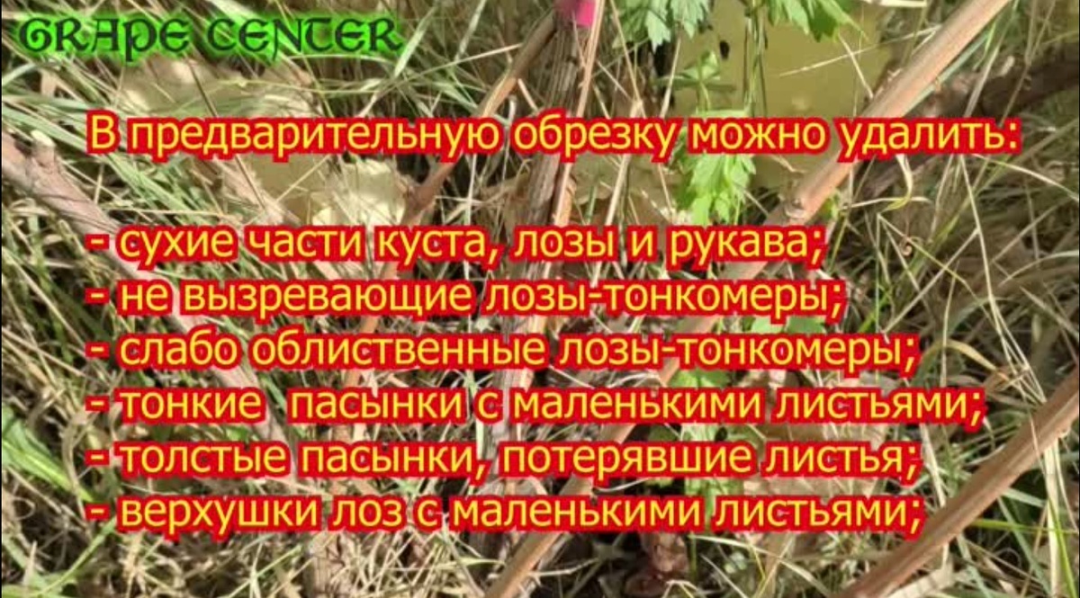 Кадр из видео 