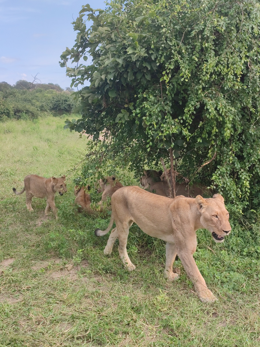 Да да, так близко