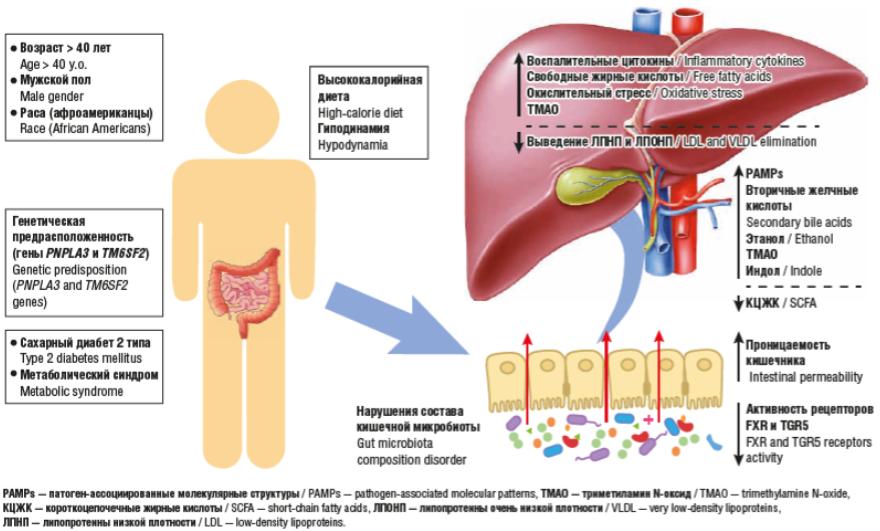 отурытый источник интернет