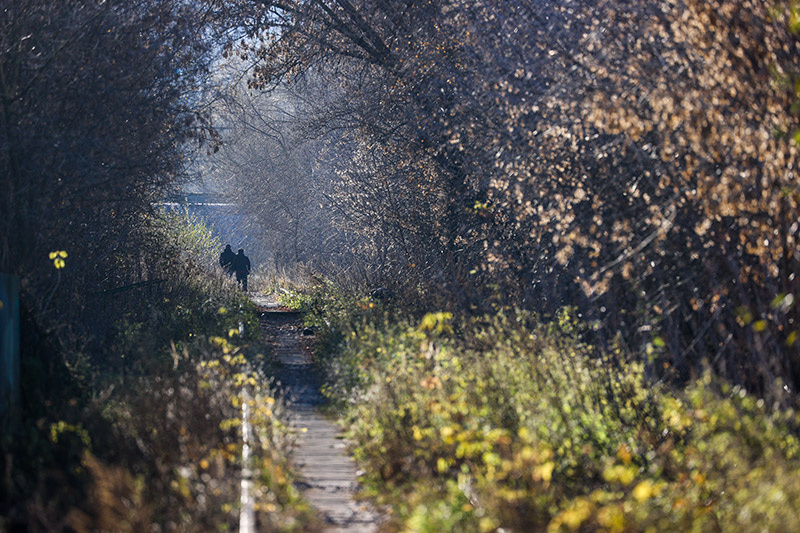   Сергей Булкин/NEWS.ru
