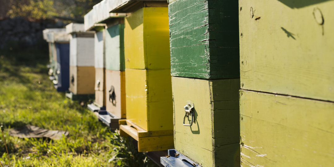 Пчеловоды отсудили у предпринимателя почти 4 миллиона рублей