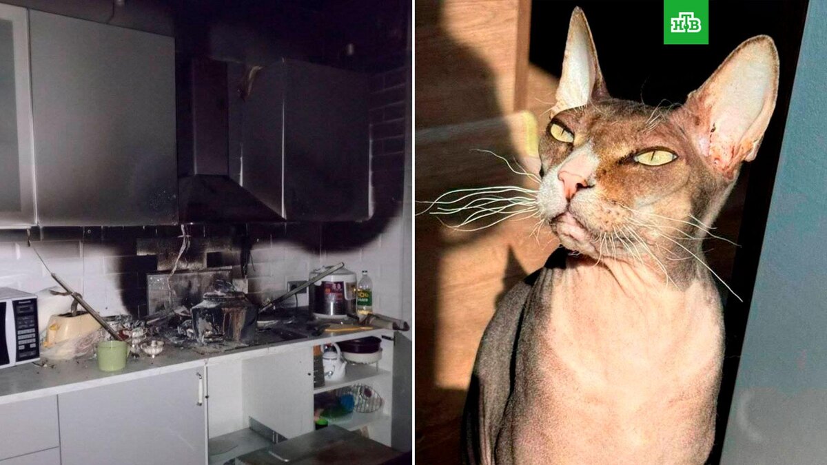    Фото: МЧС России