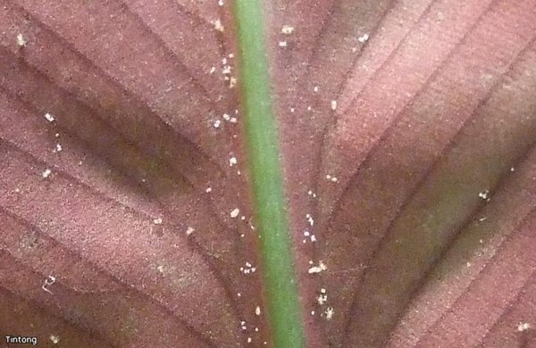 (фото взято из открытых источников для примера)