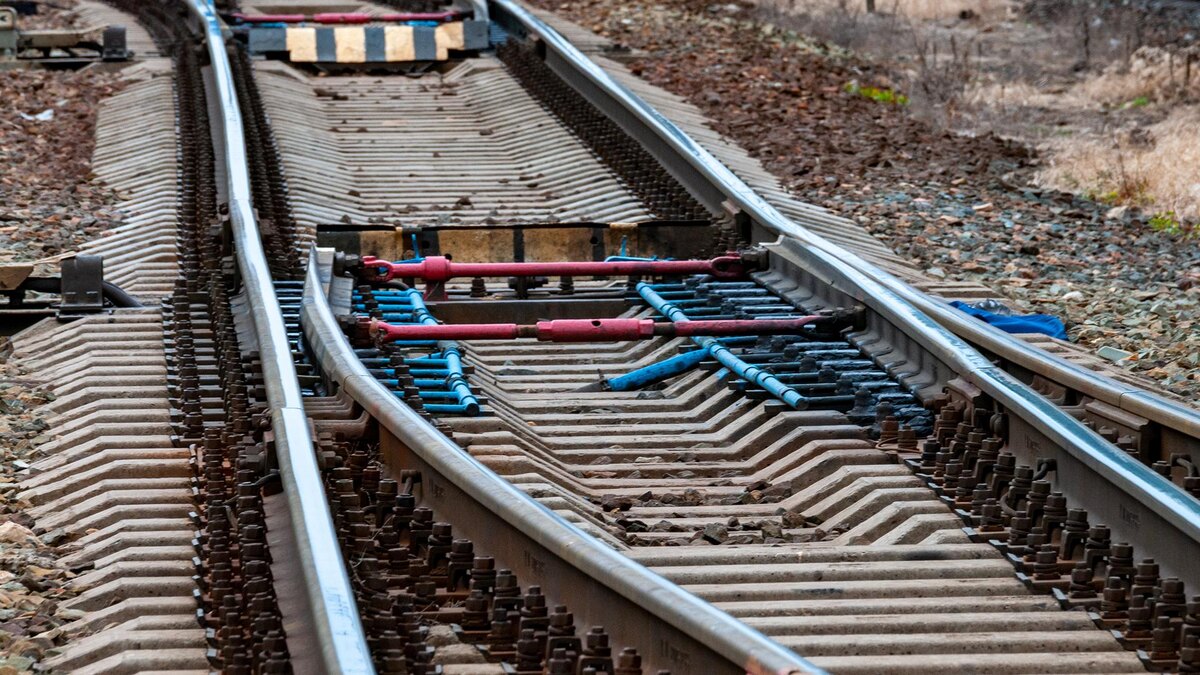    Фото: vetlana Vozmilova/globallookpress.com
