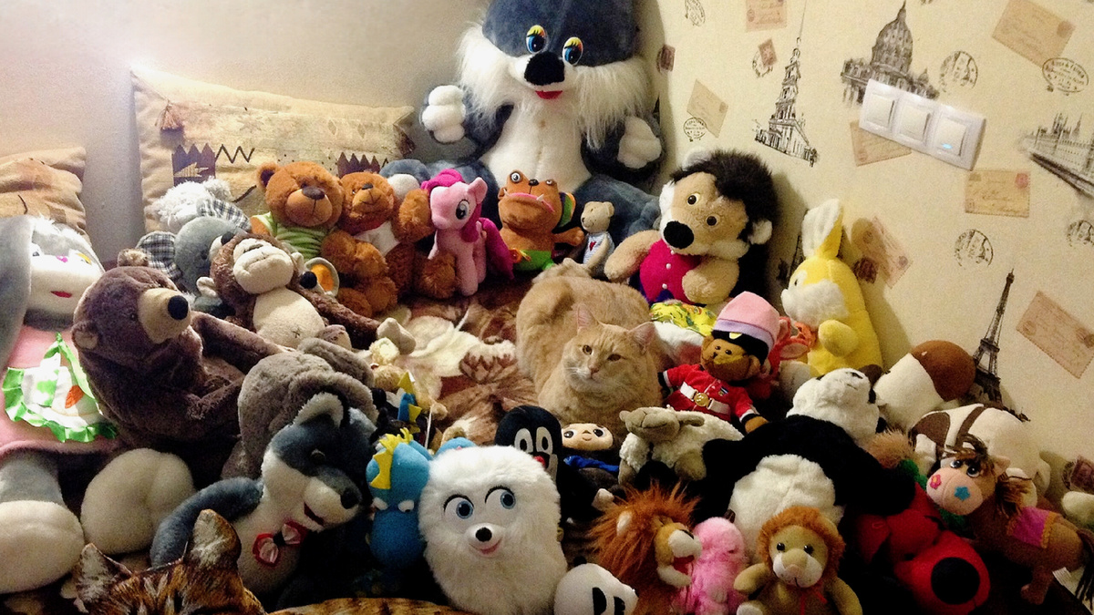 Видите кота? А ОН ЕСТЬ --->>