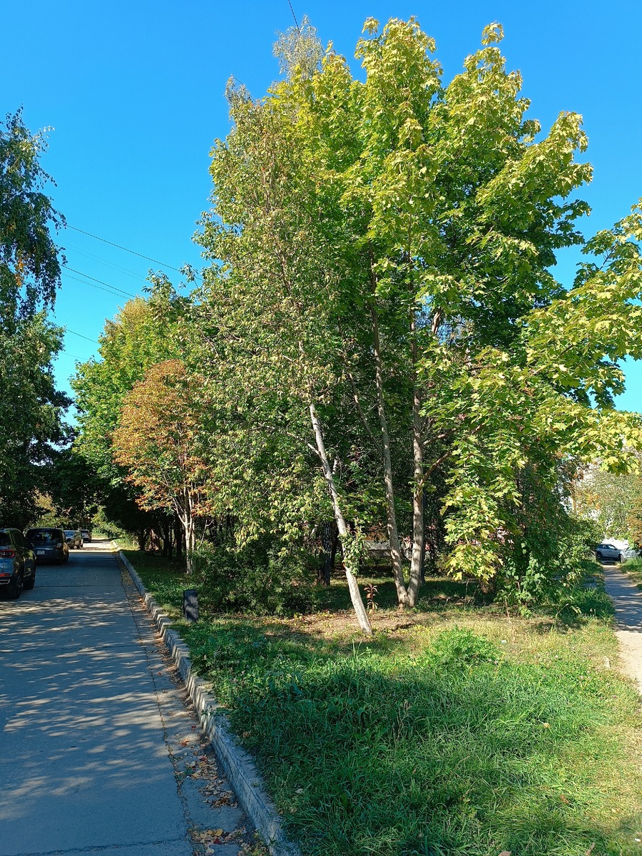 Фото автора, гуляю, мой город, 13 сентября.