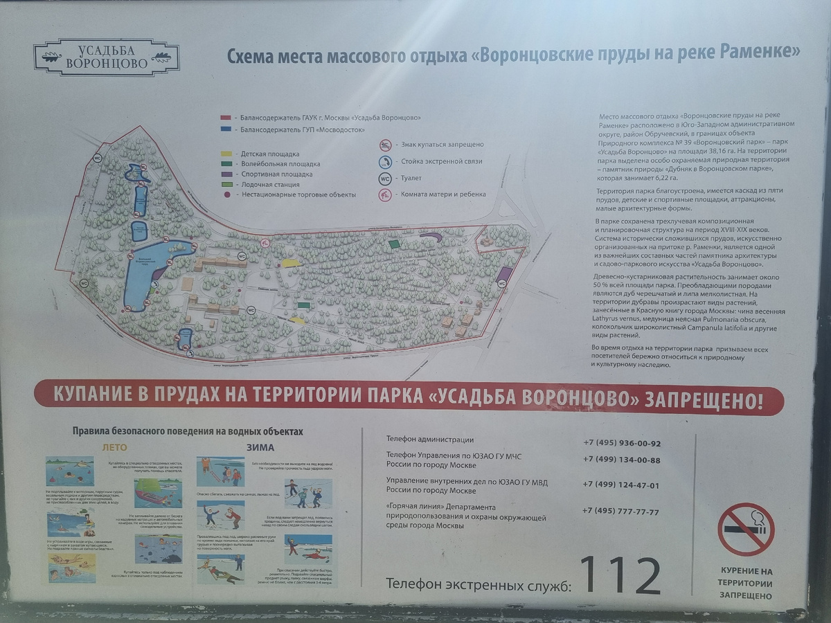 Схема для общего развития