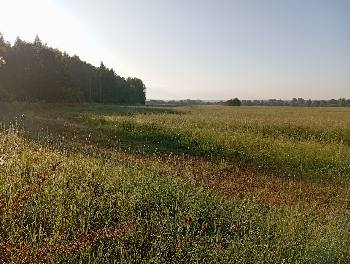 Утро. Но не раннее