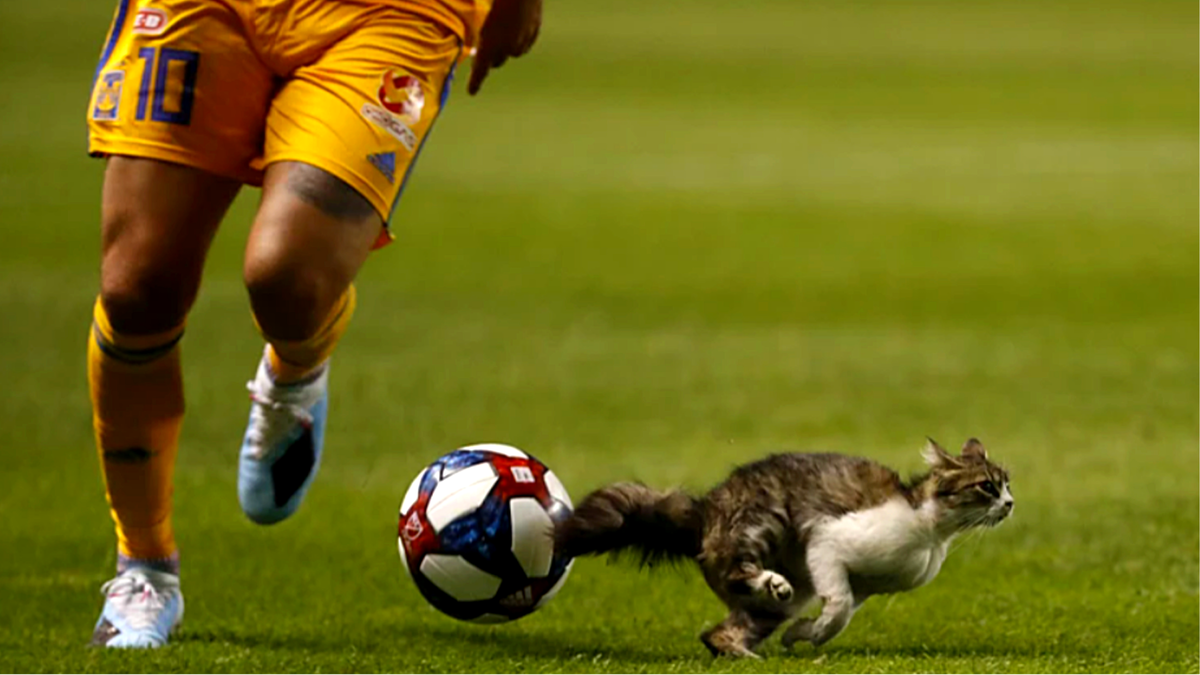 Когда хотел взять пас, но потом передумал. Матч "Реал" и "Тигрес". Источник: kp.ru ЕЩЕ фото -->