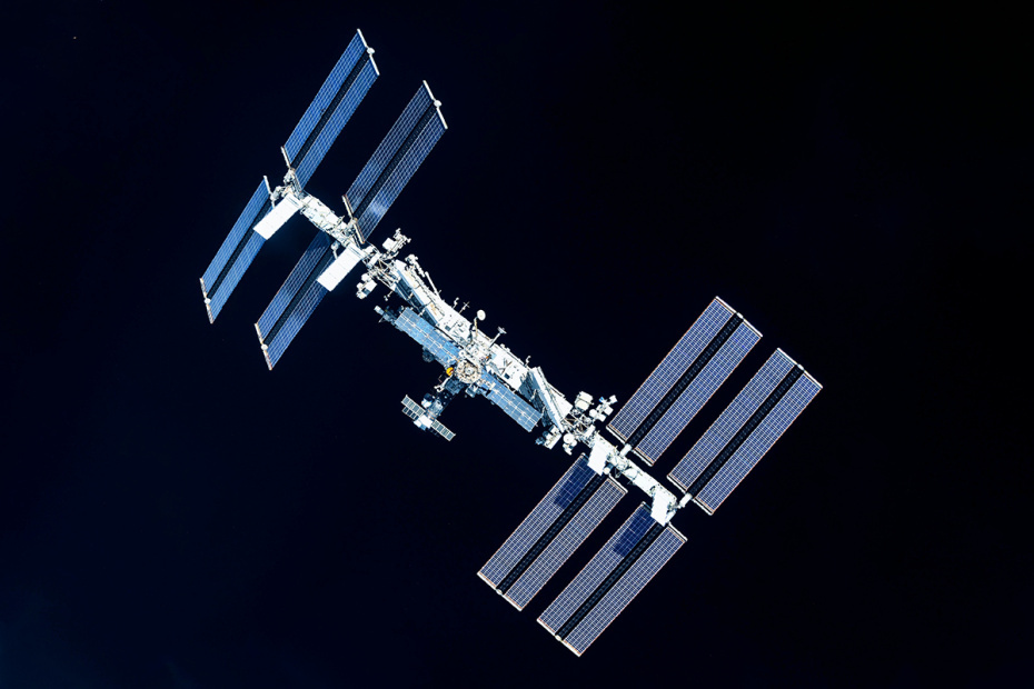    Shutterstock/FOTODOM