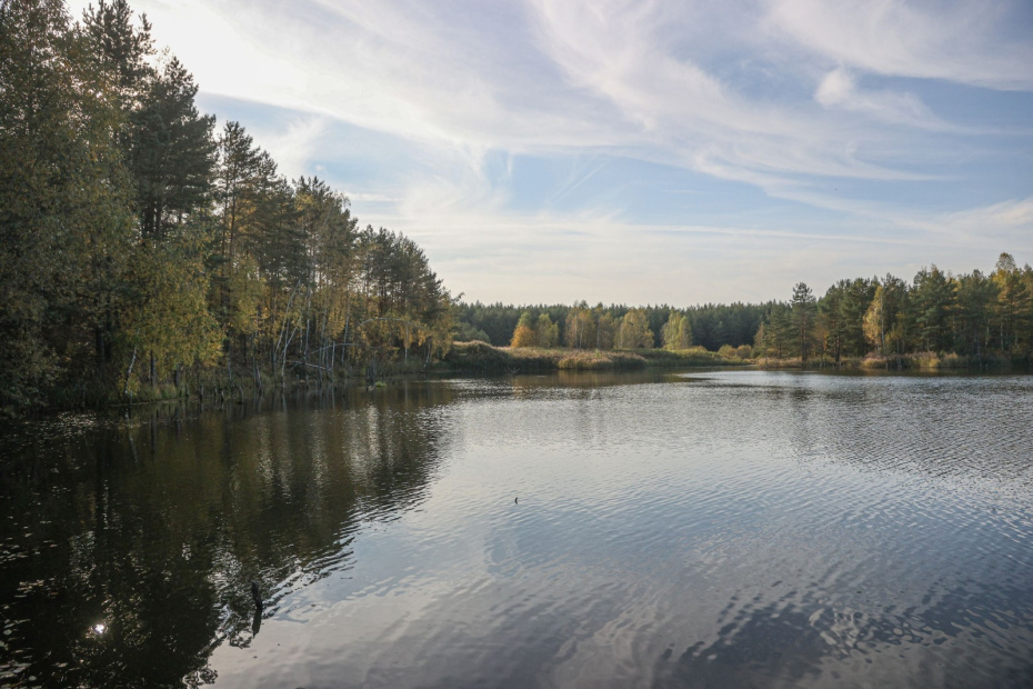    Сергей Булкин/NEWS.ru