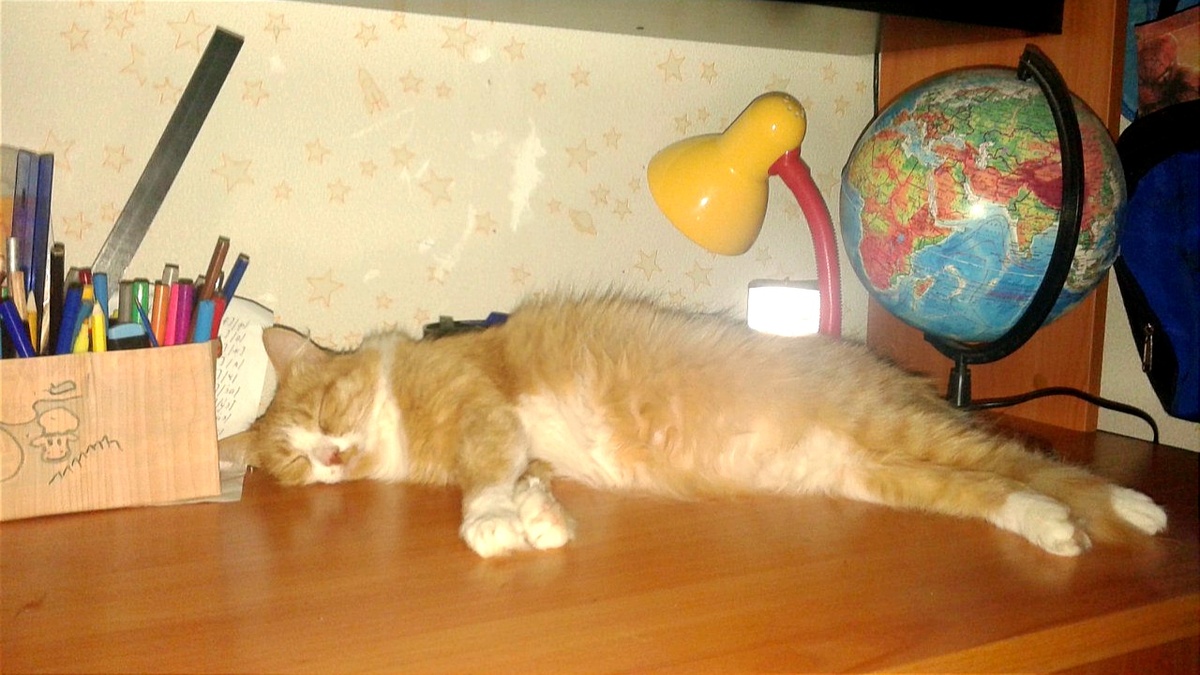 Когда сделала все уроки и спишь со спокойной совестью.