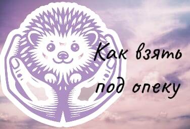 Как взять под опеку?
