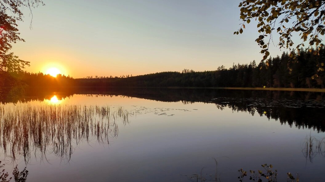    Фото: Maksim Konstantinov/Global Look Press