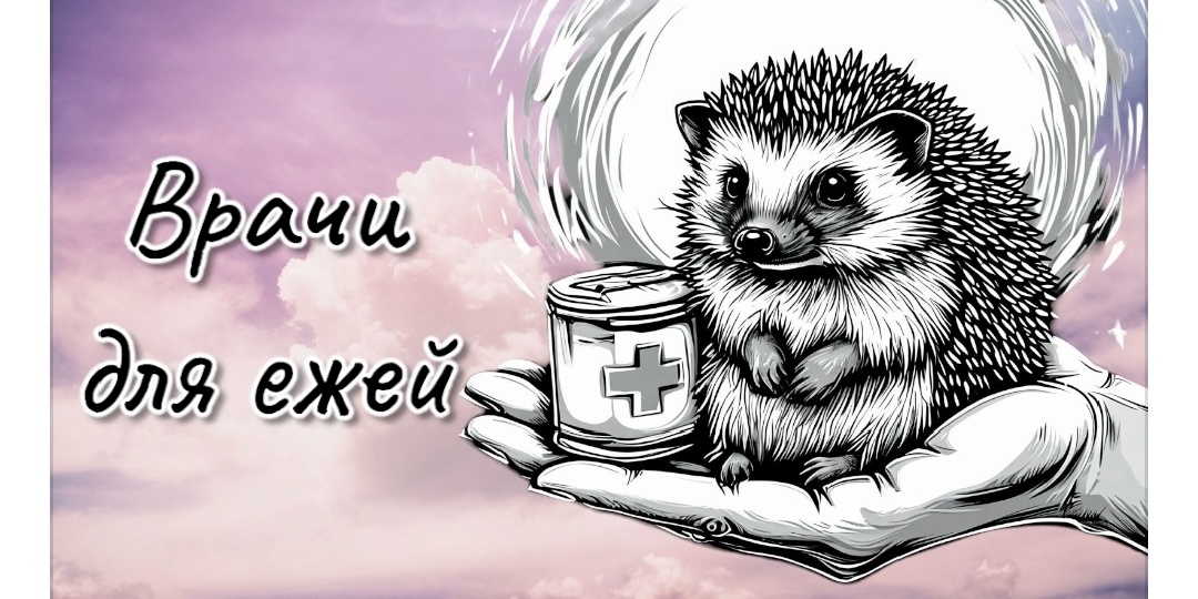 Врачи по ежам