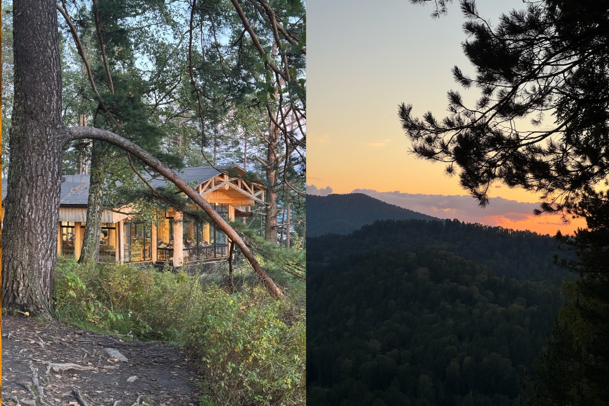 Вид со смотровой и ресторан