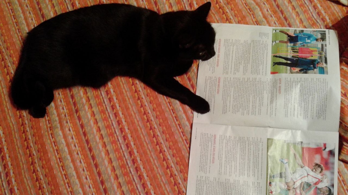 Когда за то время, которое смотрел рядом с хозяином телевизор научился разбираться в футболе