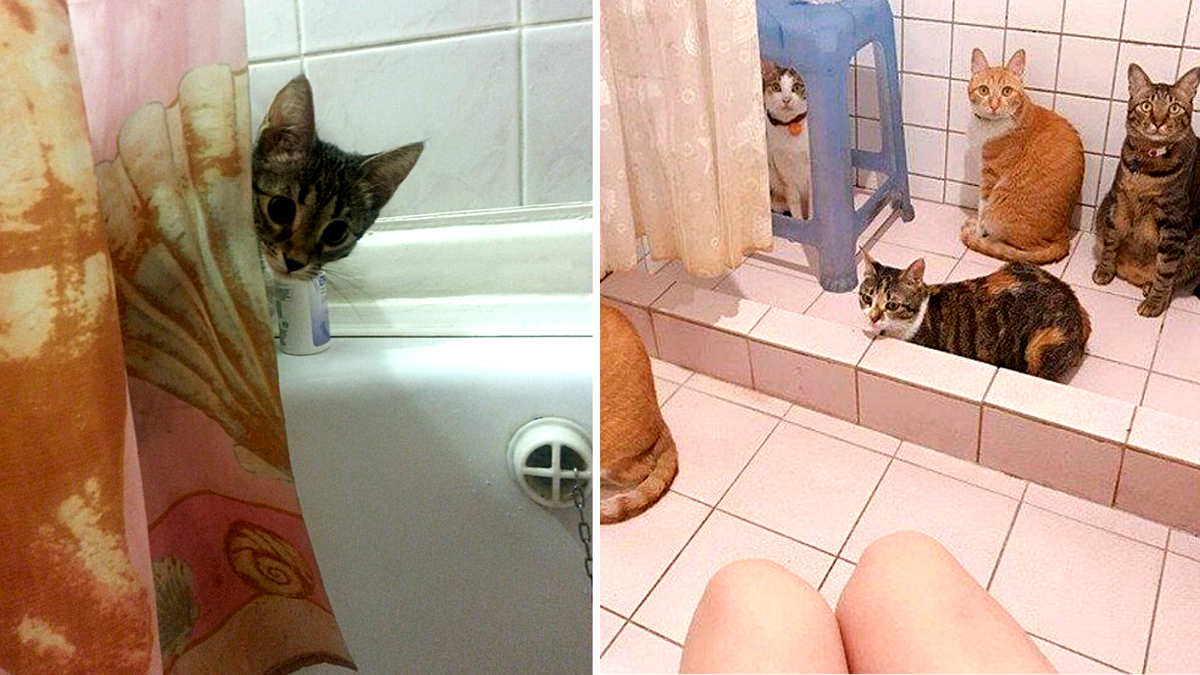 Ну скоро ты? ЕЩЕ --->>