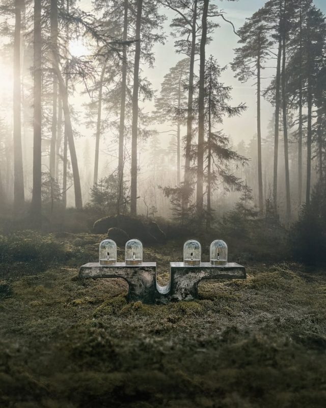    Фото: официальный сайт Koyia