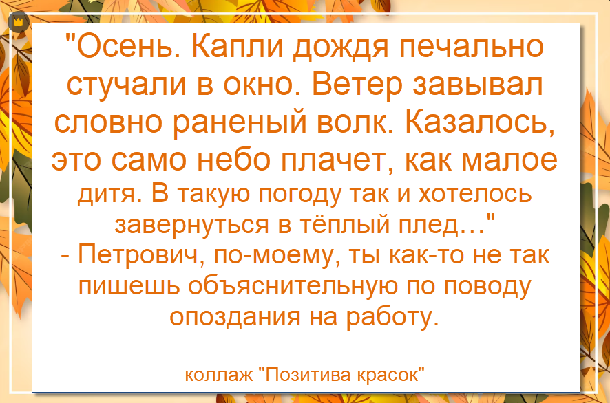 шутку прислала читательница Александра, коллаж Позитива красок