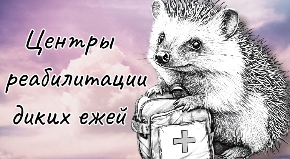 Центры помощи диким животным