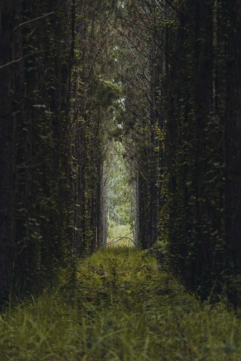 Изображение взято с просторов интернета 