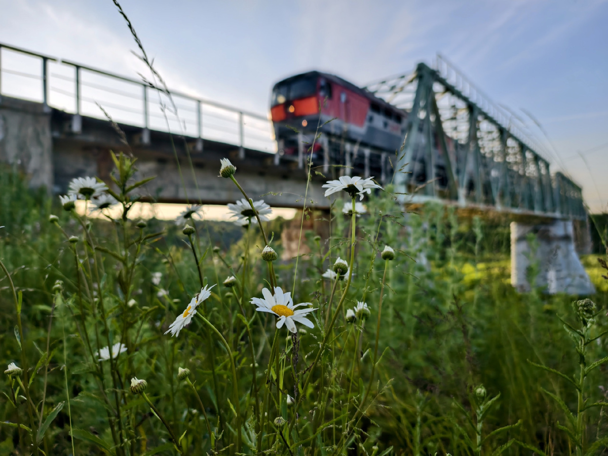 Железнодорожный мост 