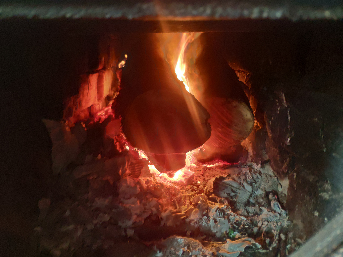 Фото автора.