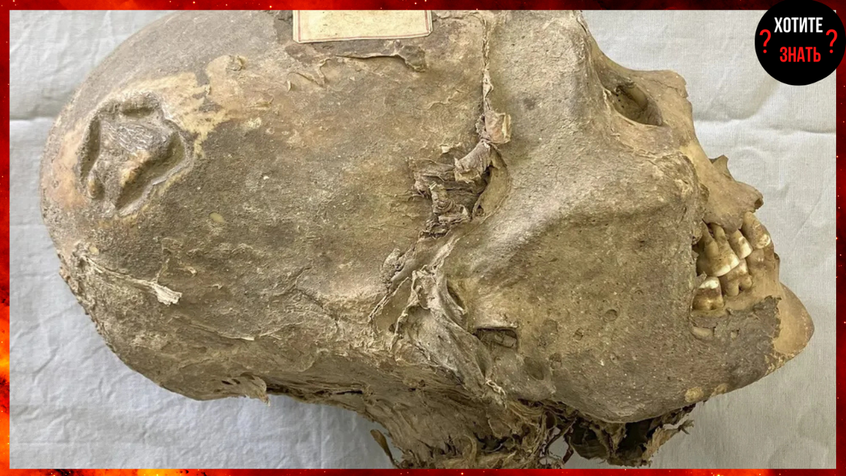 С 1914 года мумифицированная голова, найденная в Боливии, входит в коллекцию швейцарского музея.