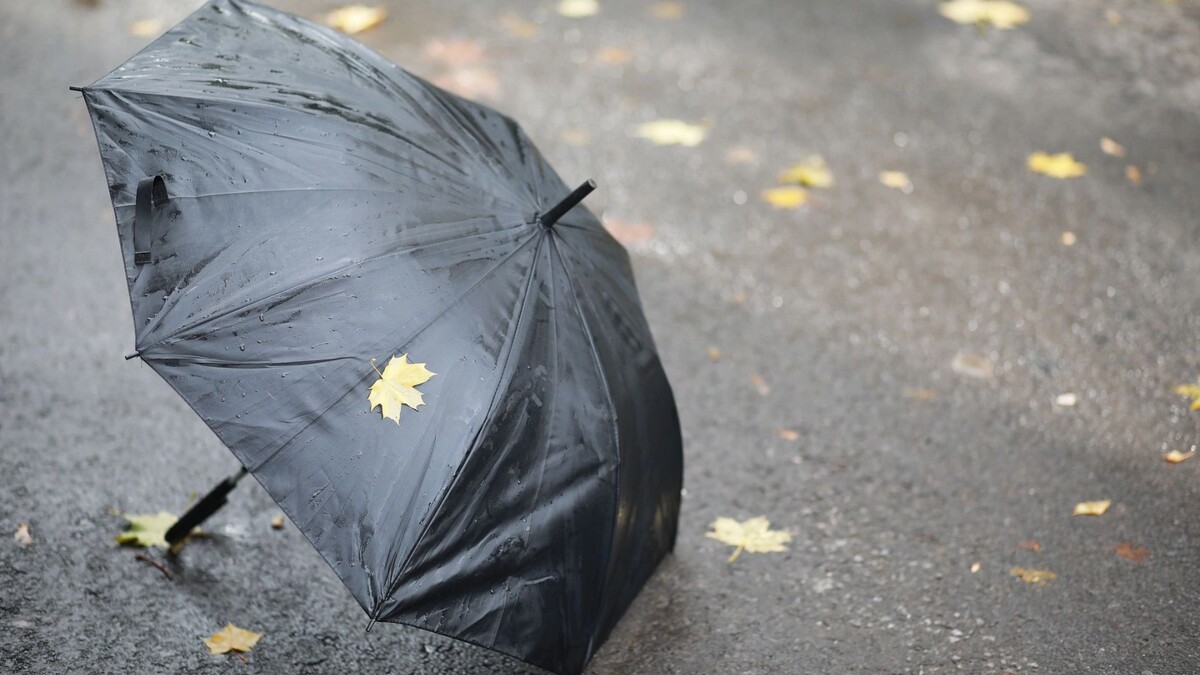    Фото: Chatham172/Shutterstock/Fotodom