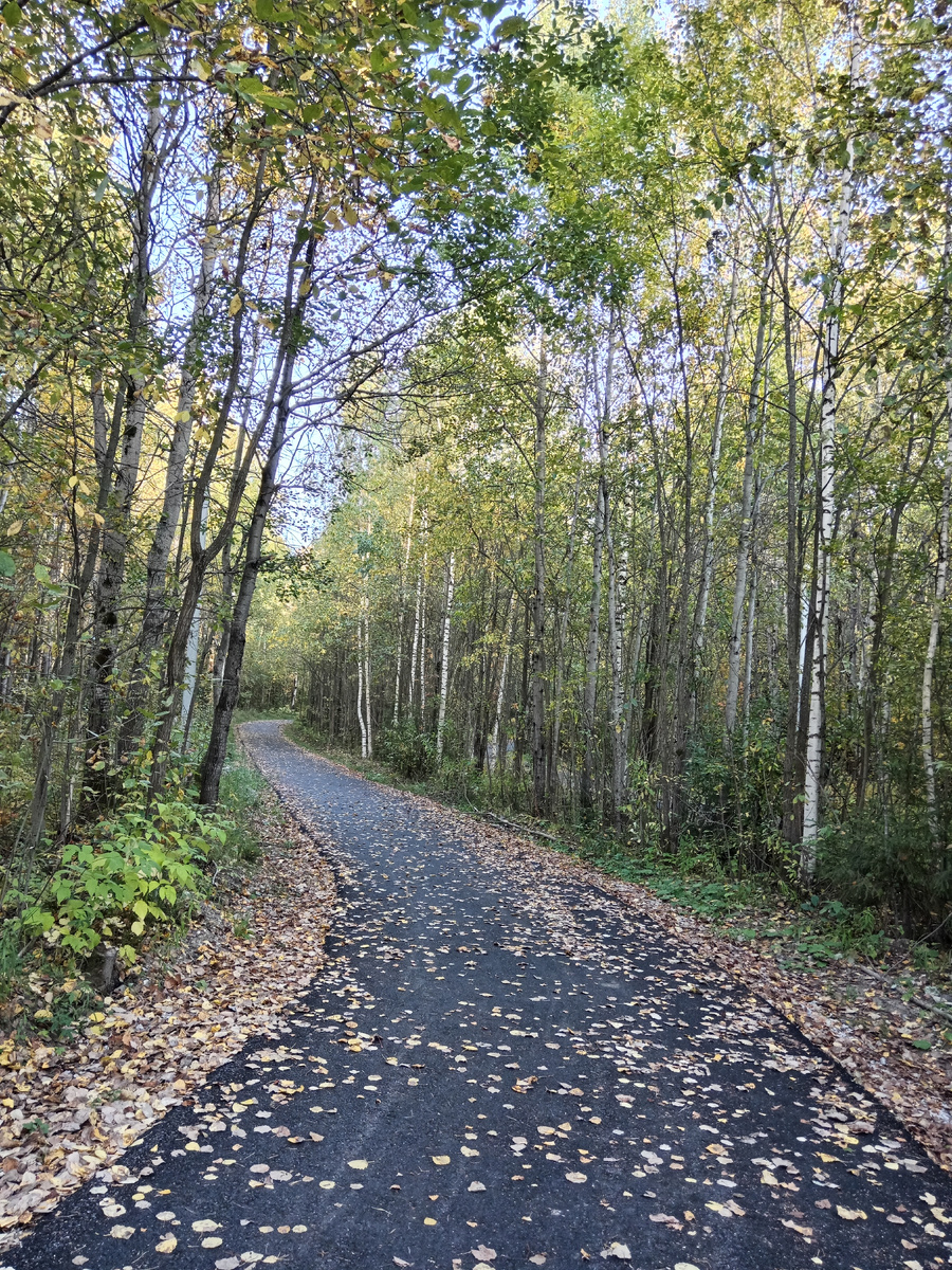 Чёрное золото осени.
