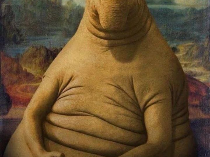 Когда же пройдет срок взыскания недоимки по налогам