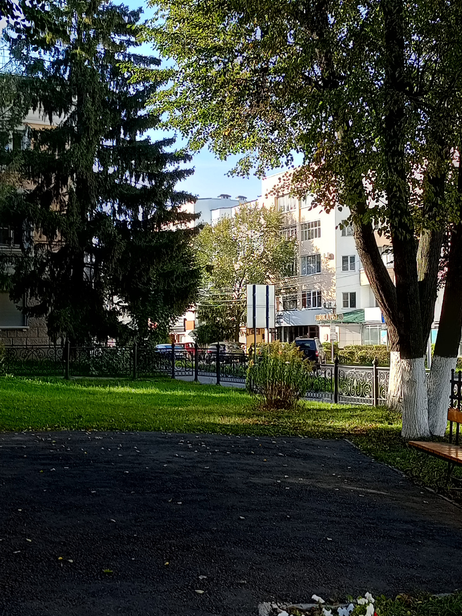 Листья летят тихонько жёлтые , еще немного их