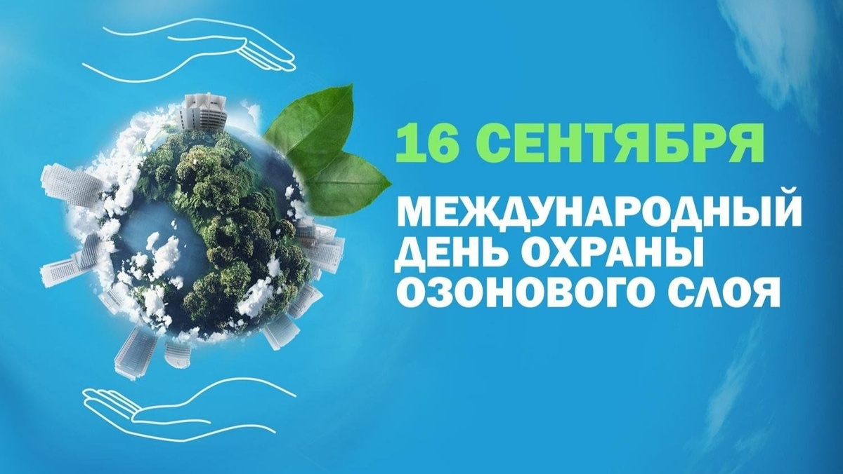 Картинка из интернета