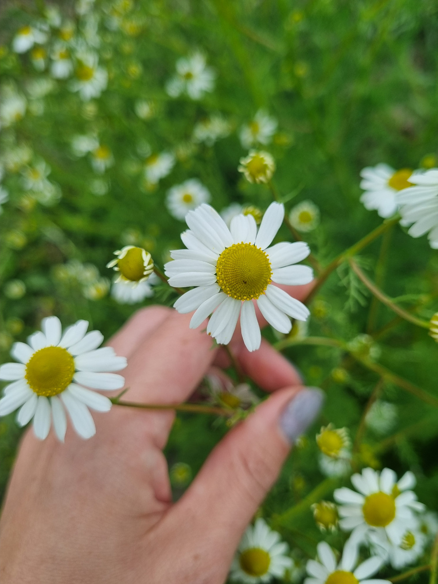 А вот это уже мое фото