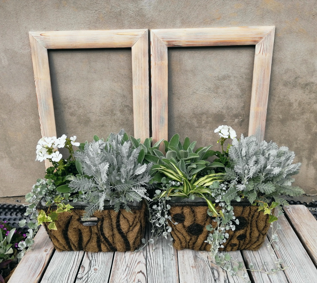 Композиции прошлого года. 