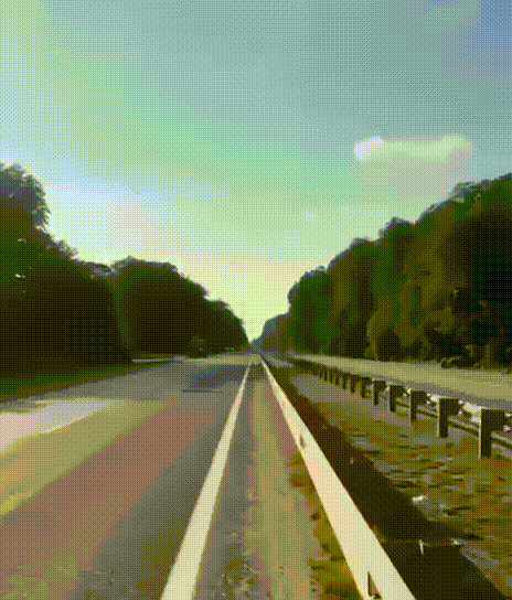    Видео: Telegram/"Живов Z"