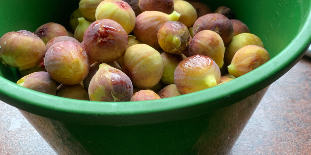 Куда девать столько инжира?!