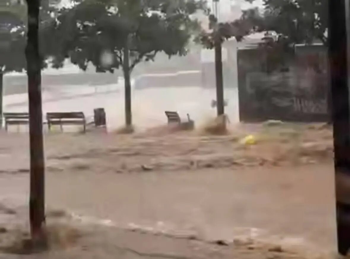    Фото: скриншот видео из соцсетей