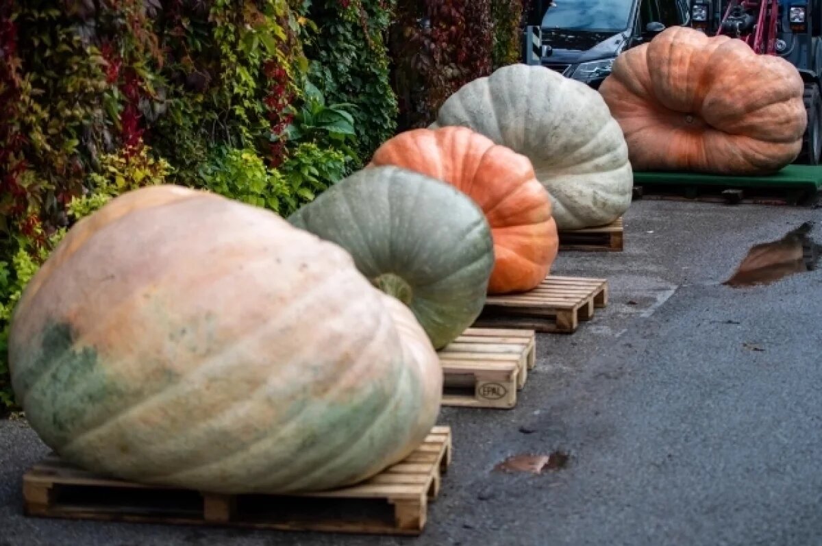    Чтобы стала «каретой».