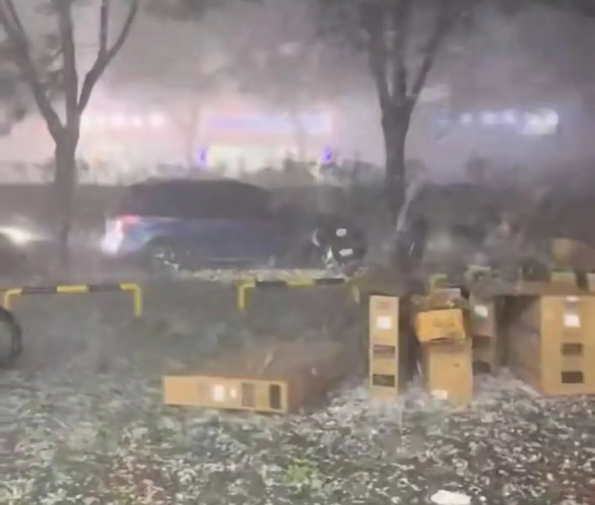    Фото: скриншот видео из соцсетей