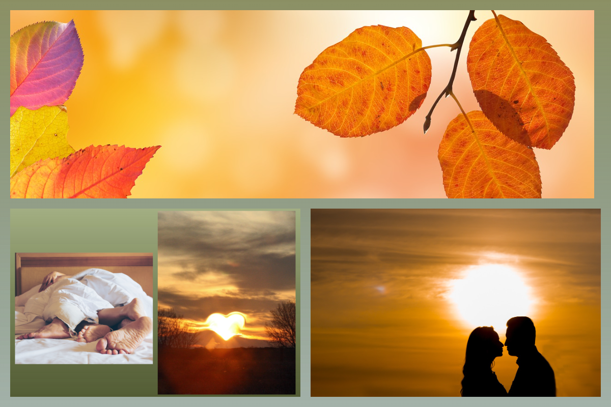 pixabay.com