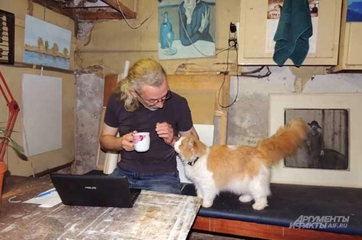    Уникального рыжего кота за 300 тысяч рублей продают в Новосибирске