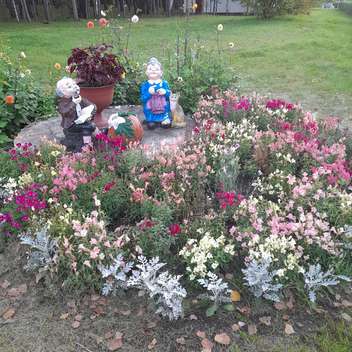 Фото автора.  На территории. В санатории много детей